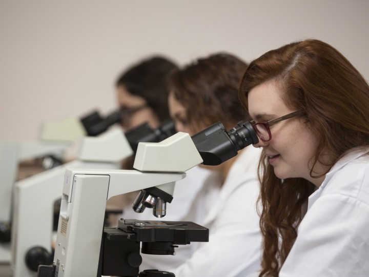 Three women in shite coats using microscopes to examine slides